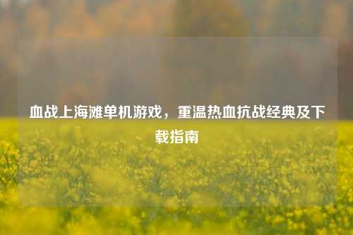 血战上海滩单机游戏,重温热血抗战经典及下载指南