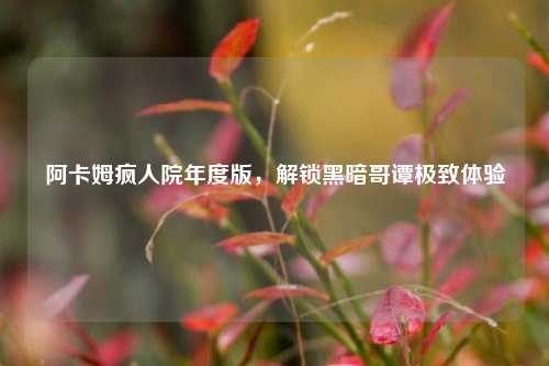 阿卡姆疯人院年度版，解锁黑暗哥谭极致体验