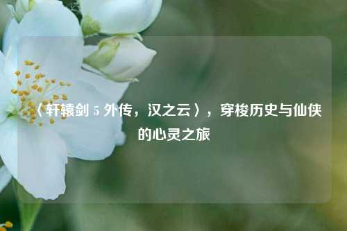 〈轩辕剑 5 外传，汉之云〉，穿梭历史与仙侠的心灵之旅