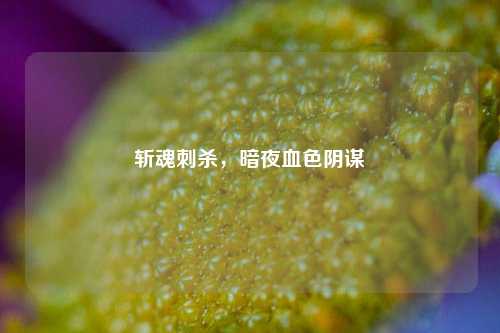 斩魂刺杀，暗夜血色阴谋