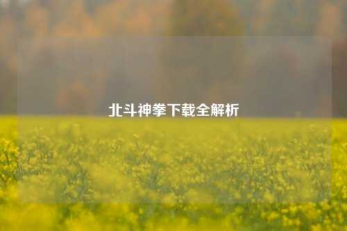 北斗神拳下载全解析