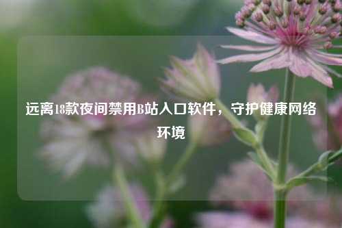 远离18款夜间禁用B站入口软件，守护健康网络环境