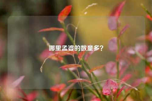 哪里孟婆的数量多?