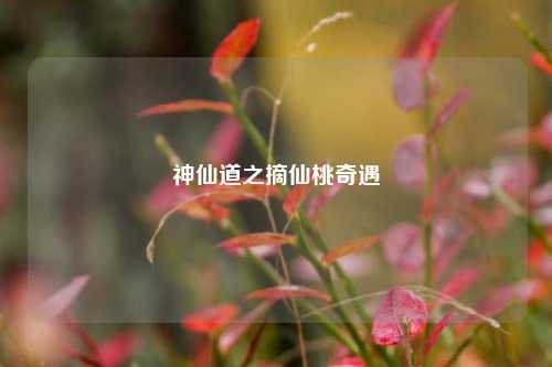 神仙道之摘仙桃奇遇