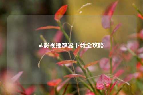 ok影视播放器下载全攻略