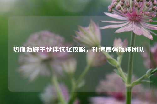 热血海贼王伙伴选择攻略,打造最强海贼团队