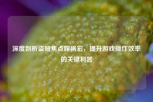 深度剖析盗贼焦点嫁祸宏，提升游戏操作效率的关键利器
