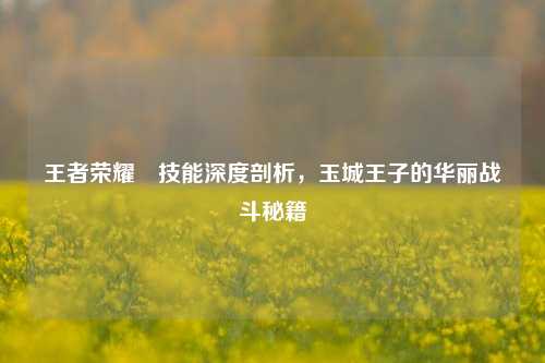 王者荣耀暃技能深度剖析，玉城王子的华丽战斗秘籍