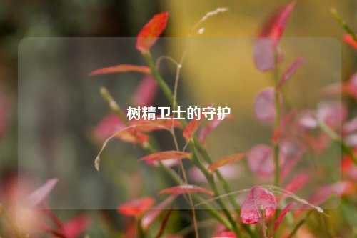 树精卫士的守护