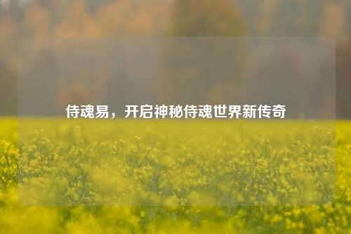 侍魂易,开启神秘侍魂世界新传奇
