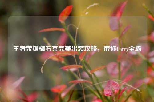 王者荣耀橘右京完美出装攻略,带你Carry全场