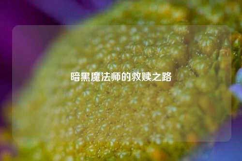 暗黑魔法师的救赎之路