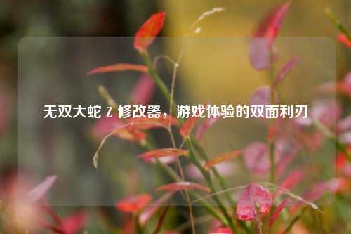 无双大蛇 Z 修改器，游戏体验的双面利刃