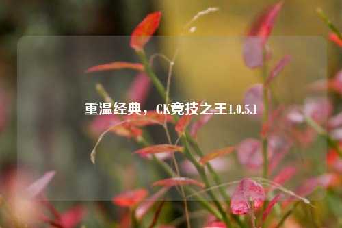 重温经典，CK竞技之王1.0.5.1