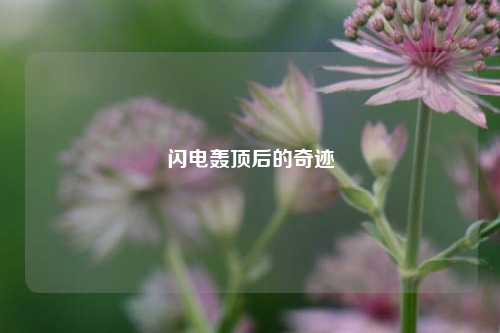 闪电轰顶后的奇迹